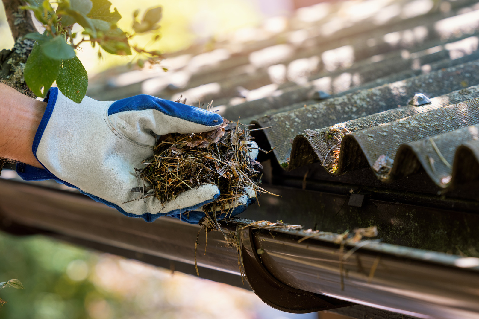 Maintaining Clean Gutters and Downspouts