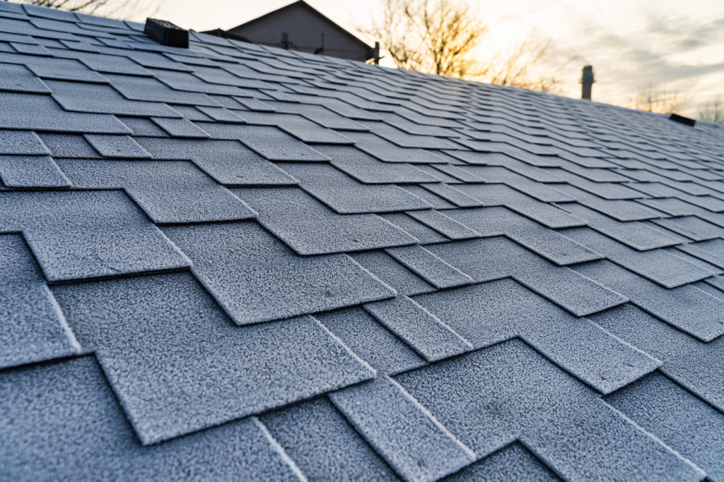 Professional shingle roofing services ensure durability and aesthetic appeal for your home.