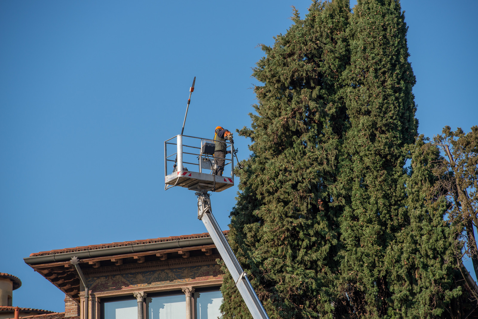 trimming trees near a roof.