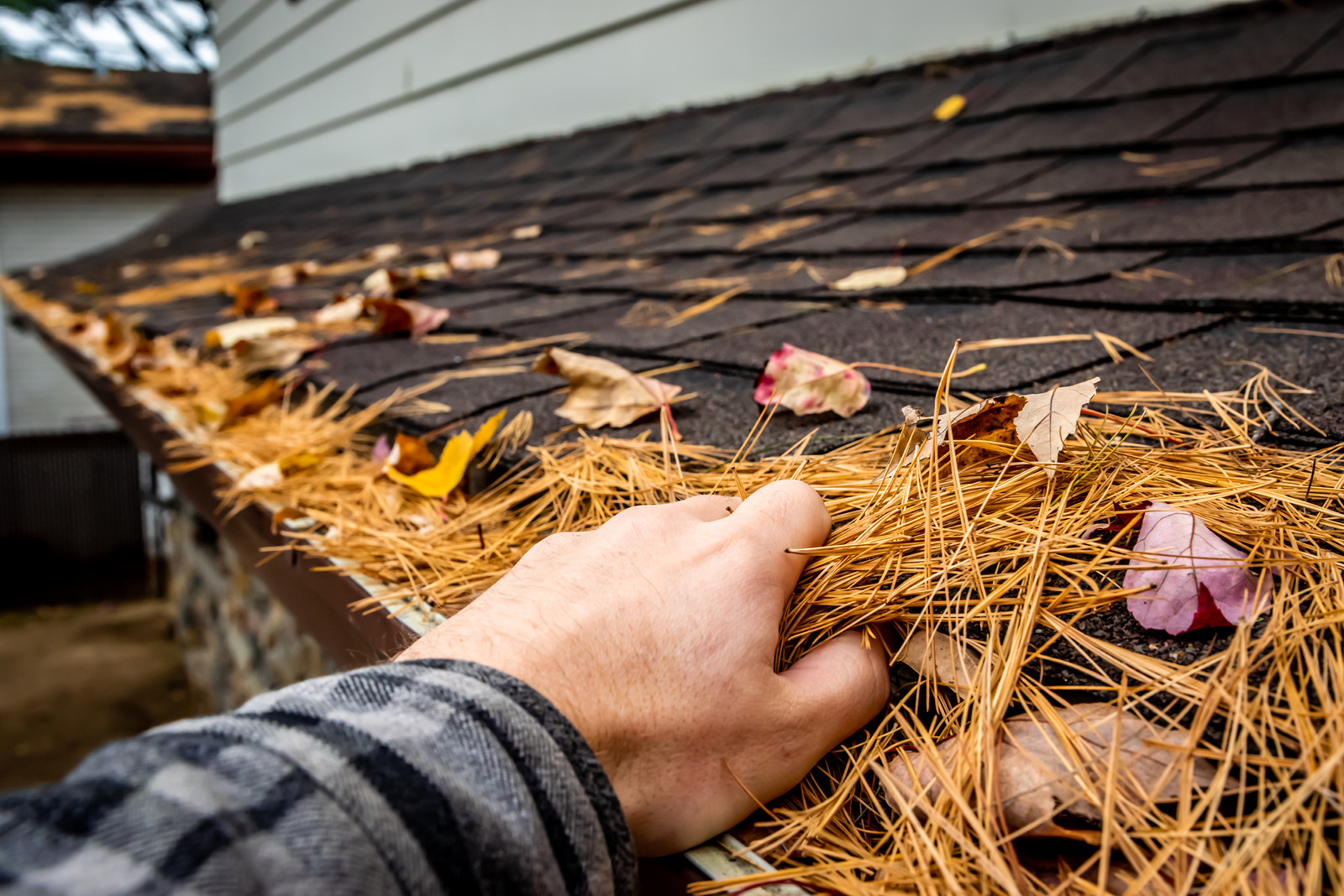 Technician cleaning Gutter of roof in Vancouver