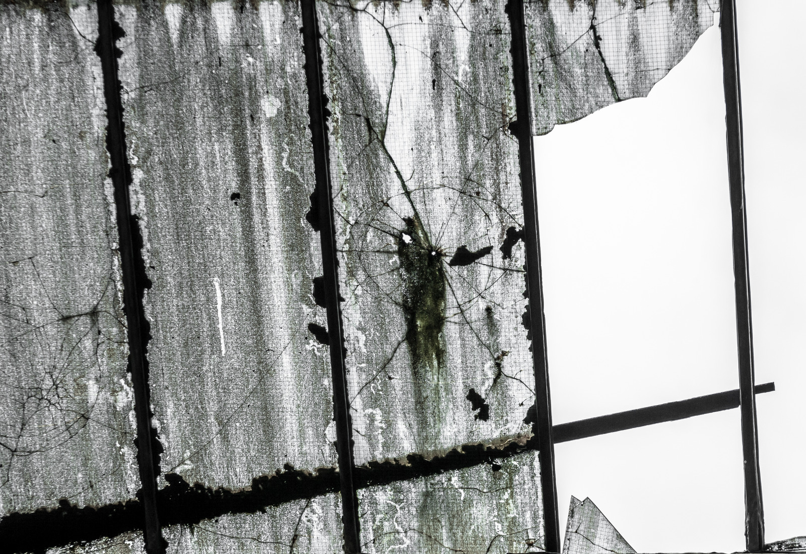 Broken Skylight at Vancouver Home